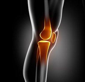 Nonoperative Treatments for ACL Injuries
